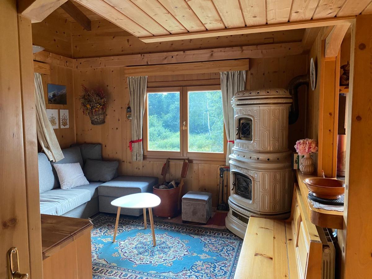 Chalet Joen Ski & Bike Andalo Exterior foto